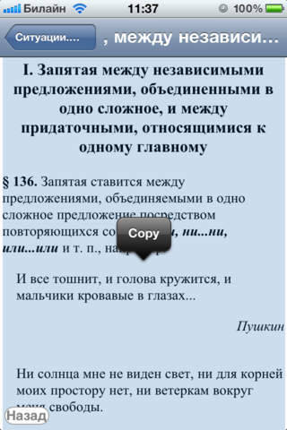 Правила русского языка Russian Language Rules screenshot 4