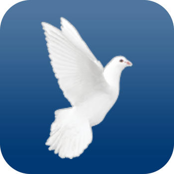 Peace Wealth Mangement LOGO-APP點子