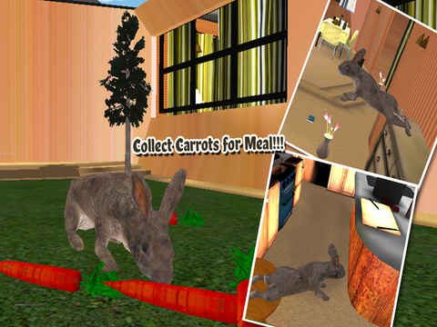 【免費遊戲App】Pet Rabbit 3D Simulator-APP點子