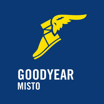 Calculadora Goodyear - Segmento Misto LOGO-APP點子