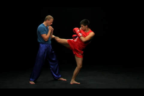 Sanda - Chinese Boxing screenshot 3