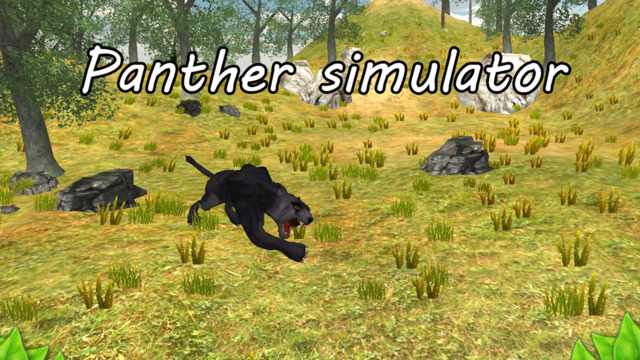 Panther RPG Simulator