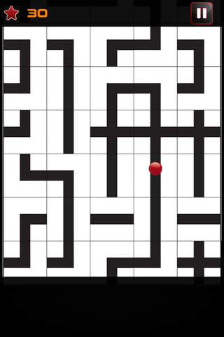 The Maze Runner Pro screenshot 4
