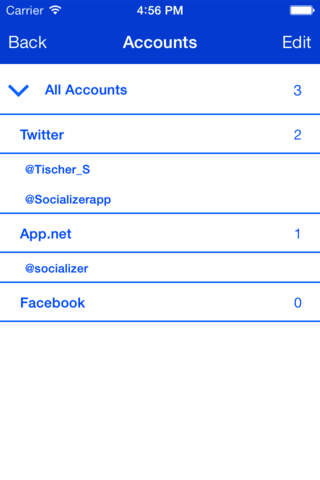 Socializer - MultiAccount Posting screenshot 3