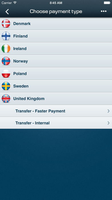 iPhone Screenshot 2
