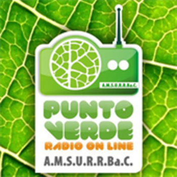 Punto Verde - Radio Online LOGO-APP點子