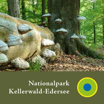 Nationalpark Kellerwald-Edersee LOGO-APP點子