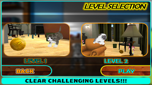 免費下載遊戲APP|Crazy Cat Pet Simulator 3D app開箱文|APP開箱王