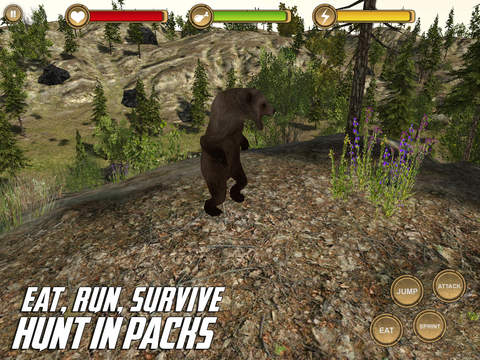 免費下載遊戲APP|Bear Simulator HD Animal Life app開箱文|APP開箱王