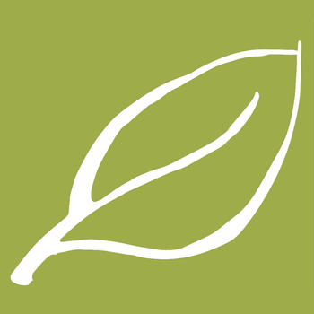 Spring Branch Community Church LOGO-APP點子