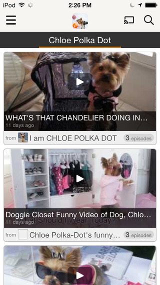 【免費娛樂App】Chloe Polka-APP點子