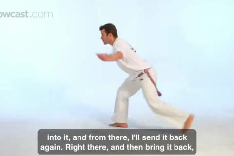 Capoeira Martial Art screenshot 4
