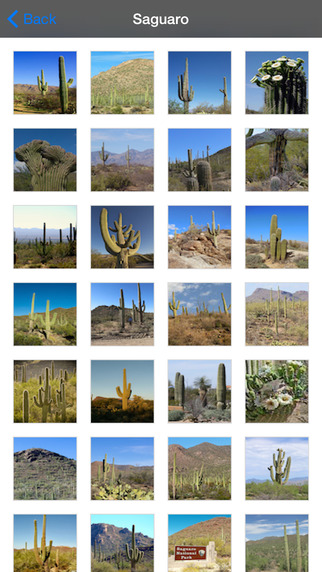 【免費旅遊App】Saguaro National Park United States-APP點子