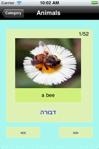 Learn Hebrew+ screenshot 4