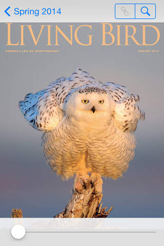 Скриншот из Living Bird Magazine by Cornell Lab of Ornithology
