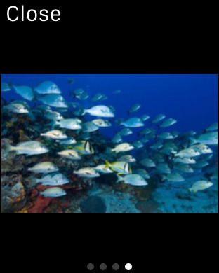 免費下載娛樂APP|Best Coral Reefs Guide app開箱文|APP開箱王