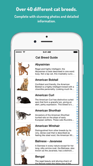 免費下載書籍APP|Cat Guide - Breed Information for Pedigree and Pure Breed Cats app開箱文|APP開箱王