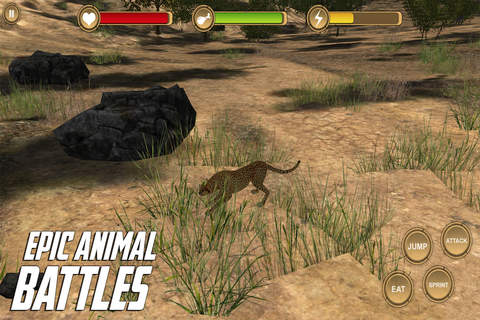 Cheetah Simulator HD Animal Life screenshot 3