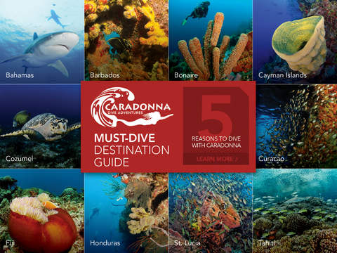 Caradonna Must-Dive Destination Guide