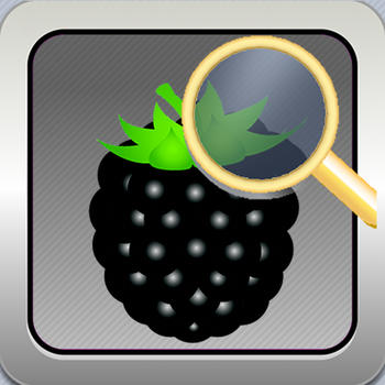 MyBB - Berry Import LOGO-APP點子