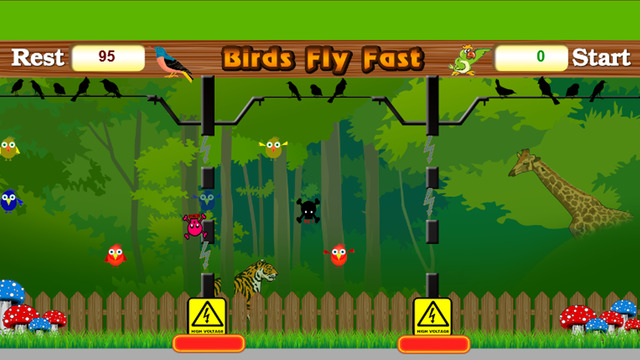 免費下載遊戲APP|Birds Fly Fast - Free Game for Kids app開箱文|APP開箱王