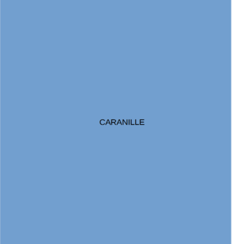 Caranille LOGO-APP點子