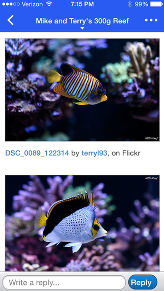 【免費社交App】REEF2REEF Saltwater Aquarium Community-APP點子