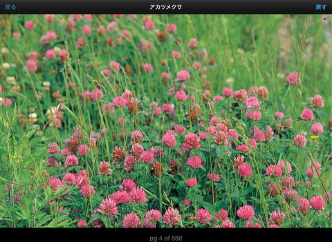 季節の野草・山草図鑑 for iPad screenshot 4