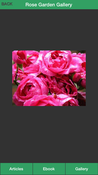 【免費生活App】Rose Garden Guide - A Guide To Planting Your Own Rose Garden Successfully!-APP點子