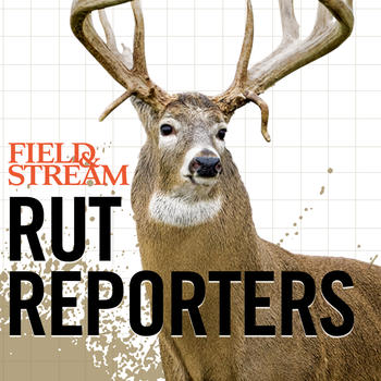 Field & Stream Rut Reporters LOGO-APP點子