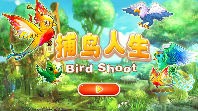免費下載遊戲APP|Birds Shoot app開箱文|APP開箱王