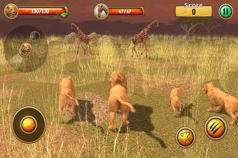 Wild Lion Pro Simulator 3D screenshot 3