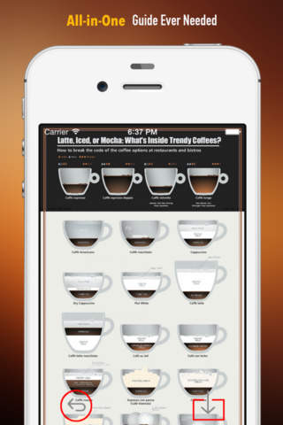 Coffee 101: Quick Study Reference with Video Lessons and Brewing Guide screenshot 2