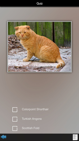 免費下載娛樂APP|Cat Breeds Guide app開箱文|APP開箱王