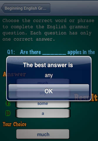 Beginning English Grammar Review screenshot 3