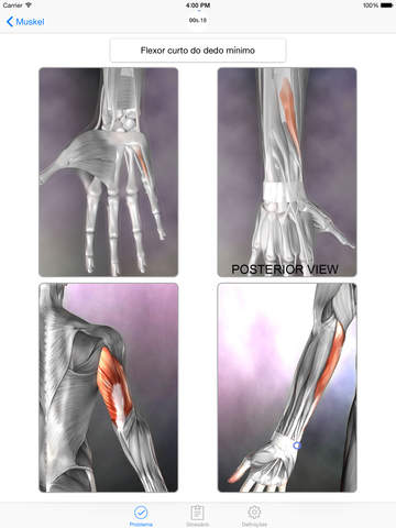 【免費醫療App】Questionário Anatomia-APP點子