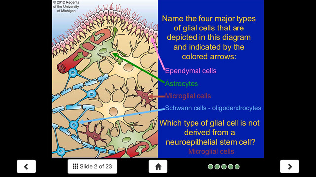 免費下載醫療APP|Histology - Nervous System app開箱文|APP開箱王