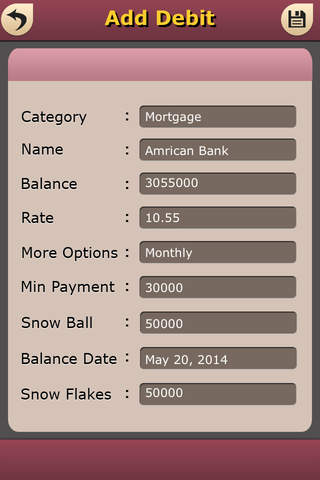 Debt Pay Off Manager screenshot 3