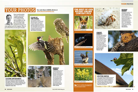 Best of BBC Wildlife Magazine screenshot 3