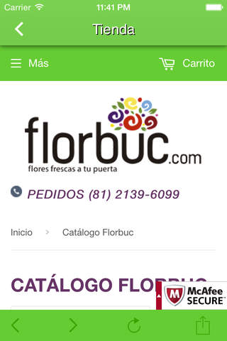 Florbuc screenshot 3
