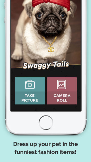 免費下載攝影APP|Swaggy Tails app開箱文|APP開箱王