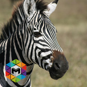 Zebra Simulator LOGO-APP點子