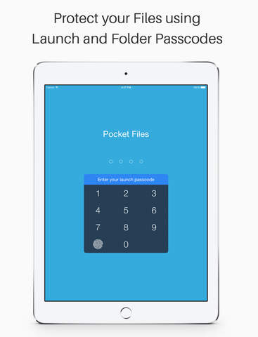 【免費攝影App】Pocket Files Pro - Secure & Safe Documents Vault with Decoy Password-APP點子