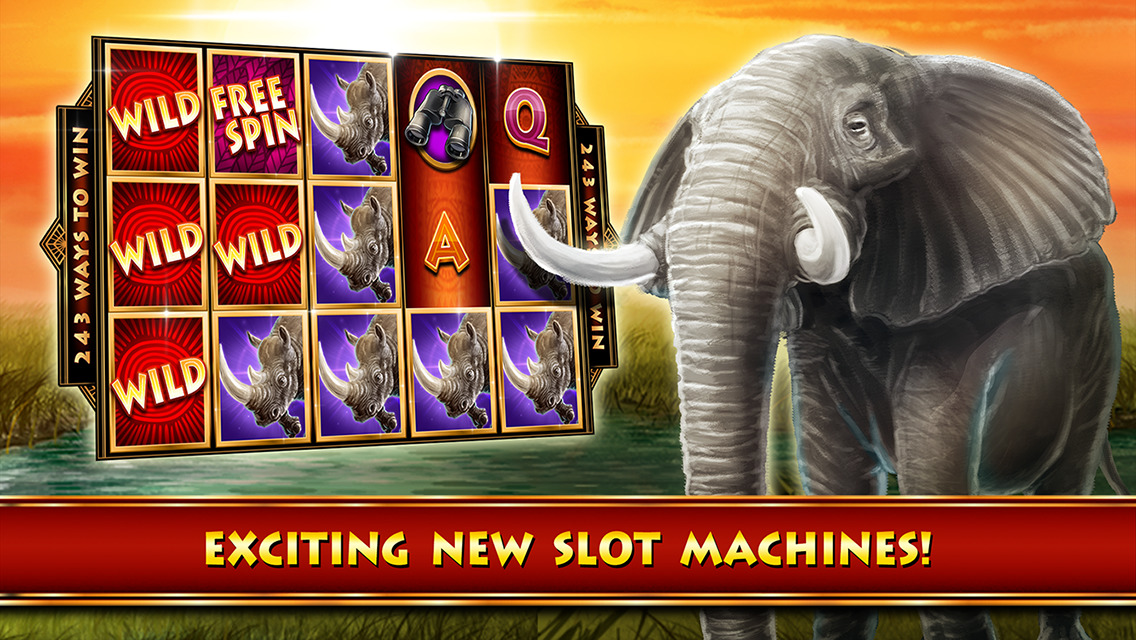 Cheetah chase slot machine