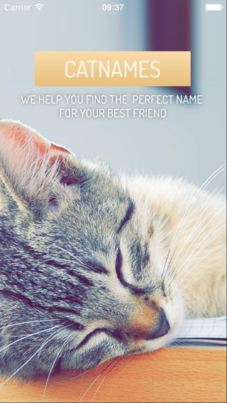 Catnames - The best names for cats and other pets