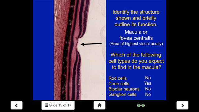 免費下載醫療APP|Histology - Nervous System app開箱文|APP開箱王