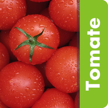 Pragas do Tomate LOGO-APP點子