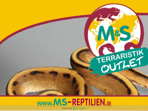 【免費生活App】M&S Reptilien. Der Terraristik Experte-APP點子