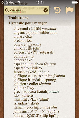French Dictionary BigDict screenshot 4