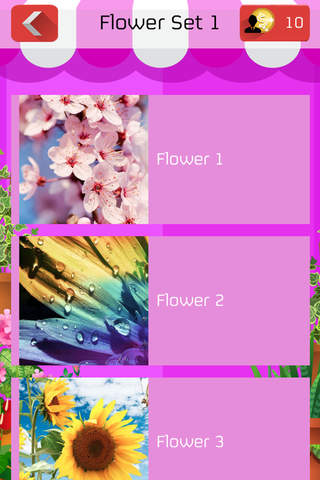 Jigsaw Flower in The Garden HD Puzzle Floral Farm Collection screenshot 4